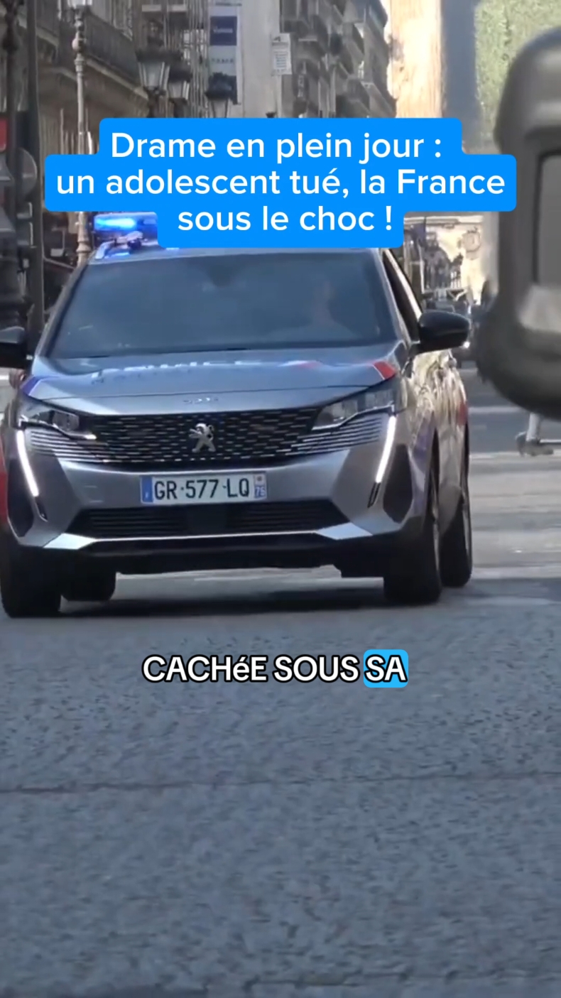 @Actualité 🇨🇵
