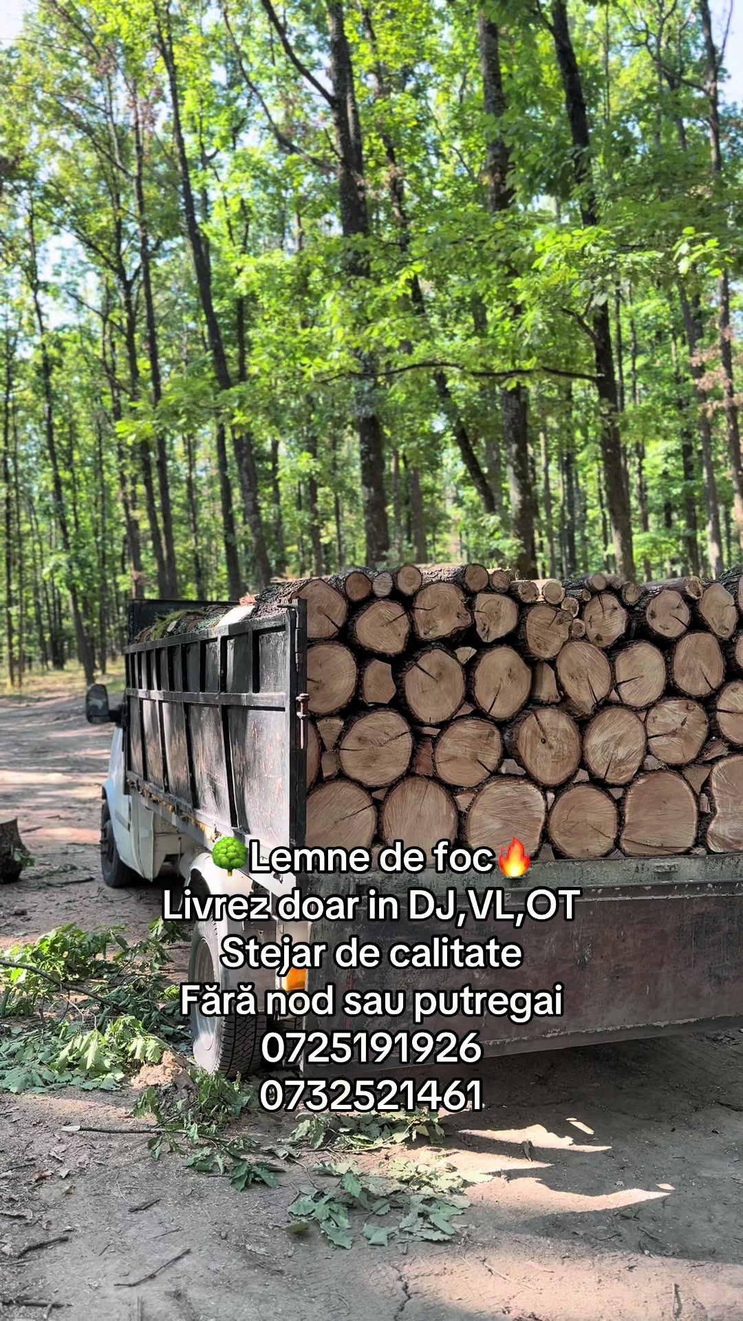 @N1ckolas