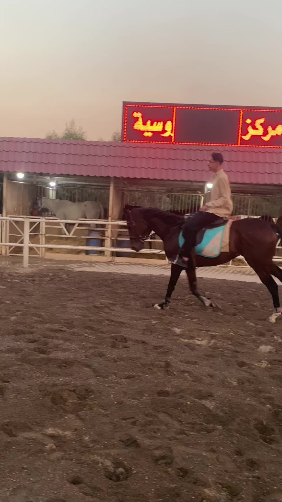 @حە مە🐎🫀
