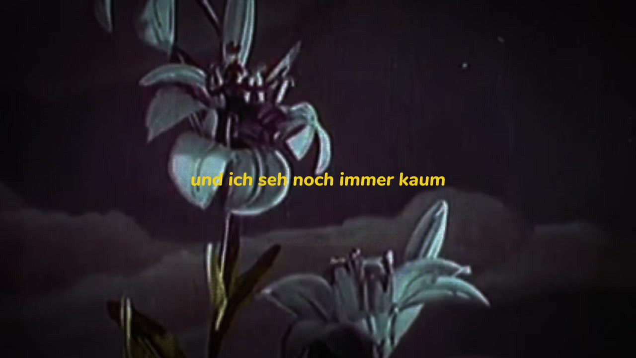 @𑣲𝓛