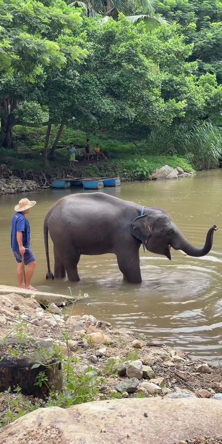 @Qvy Boonchanawiwat