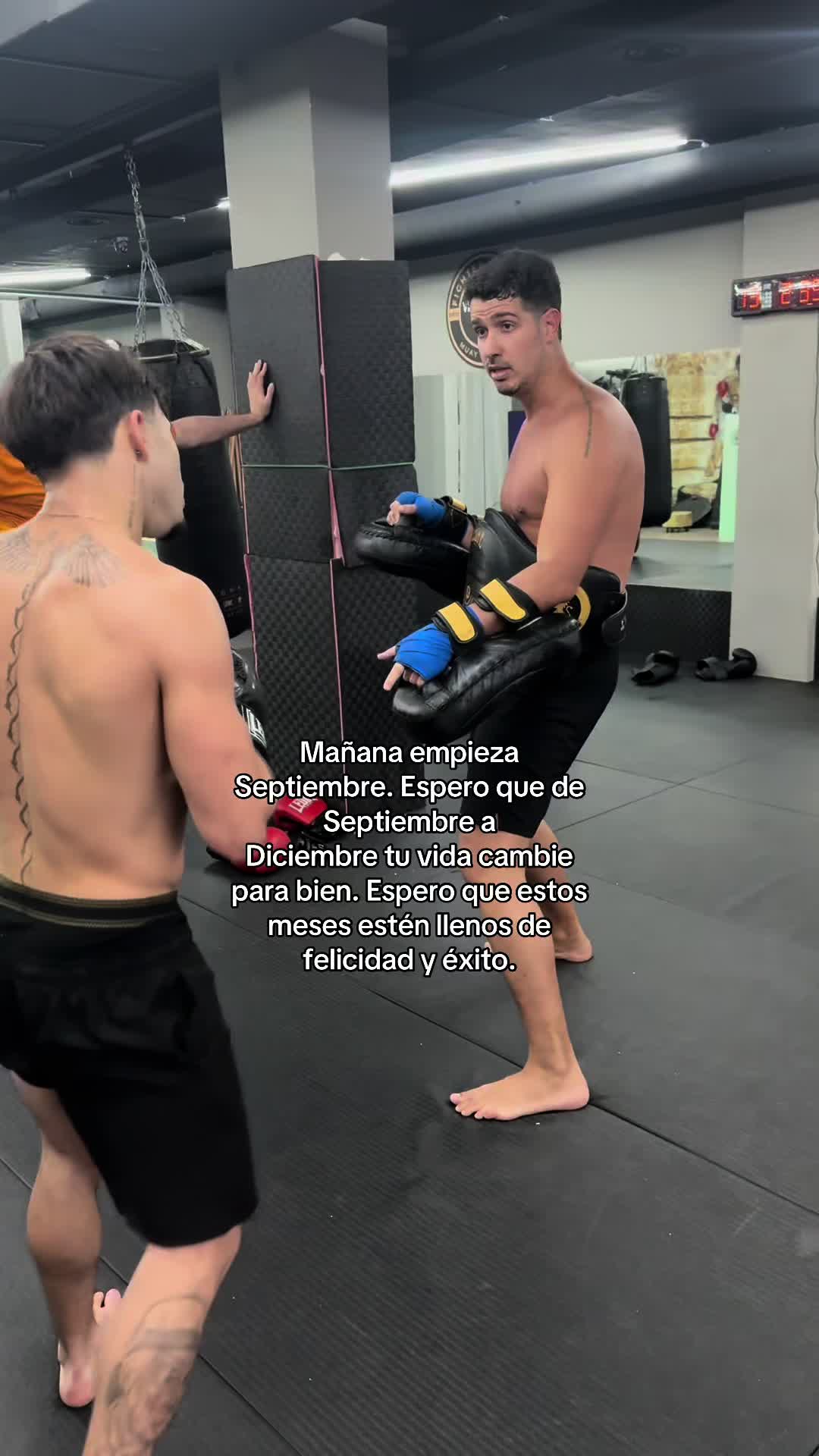 @Mai Camelo