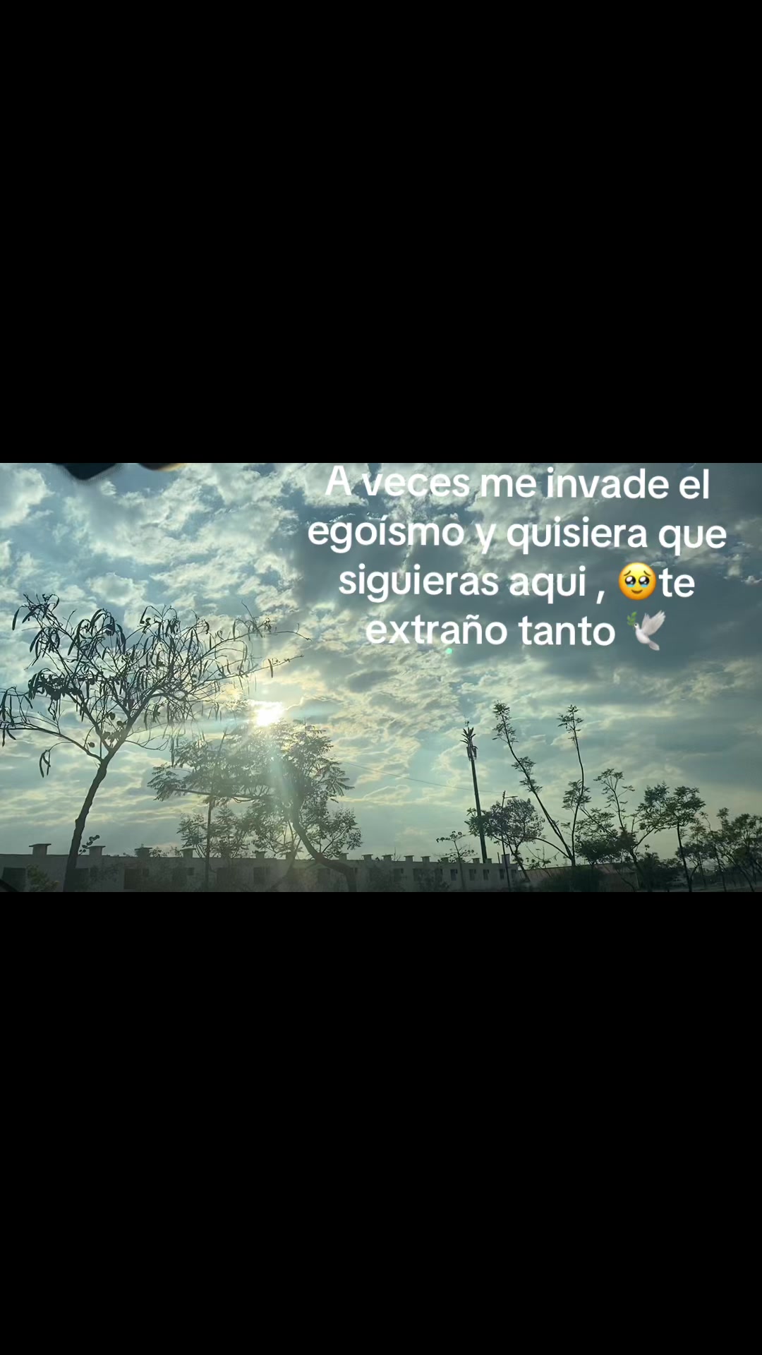 @Paloma