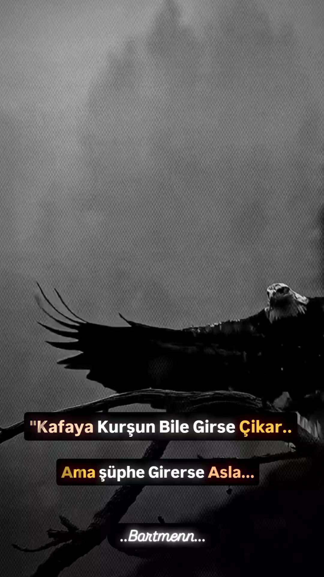 @Bartmenn