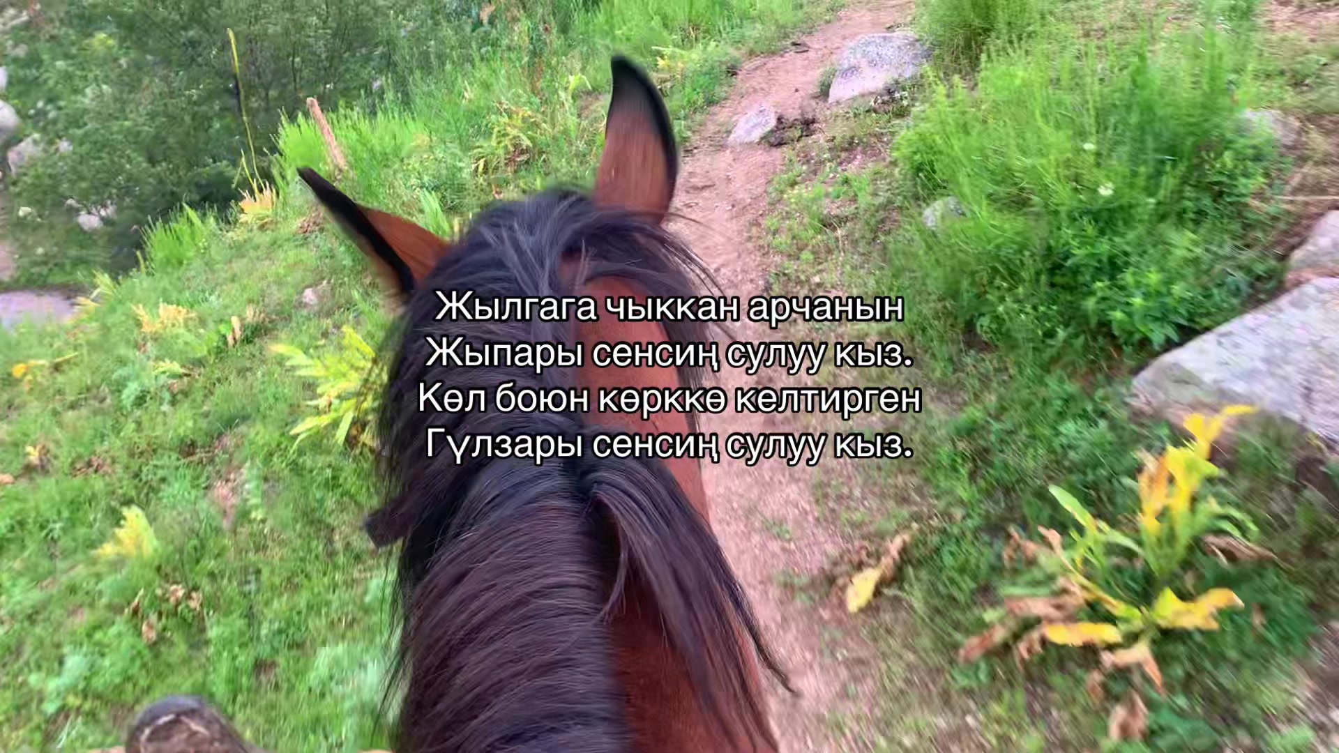 @nasirovа🇰🇬