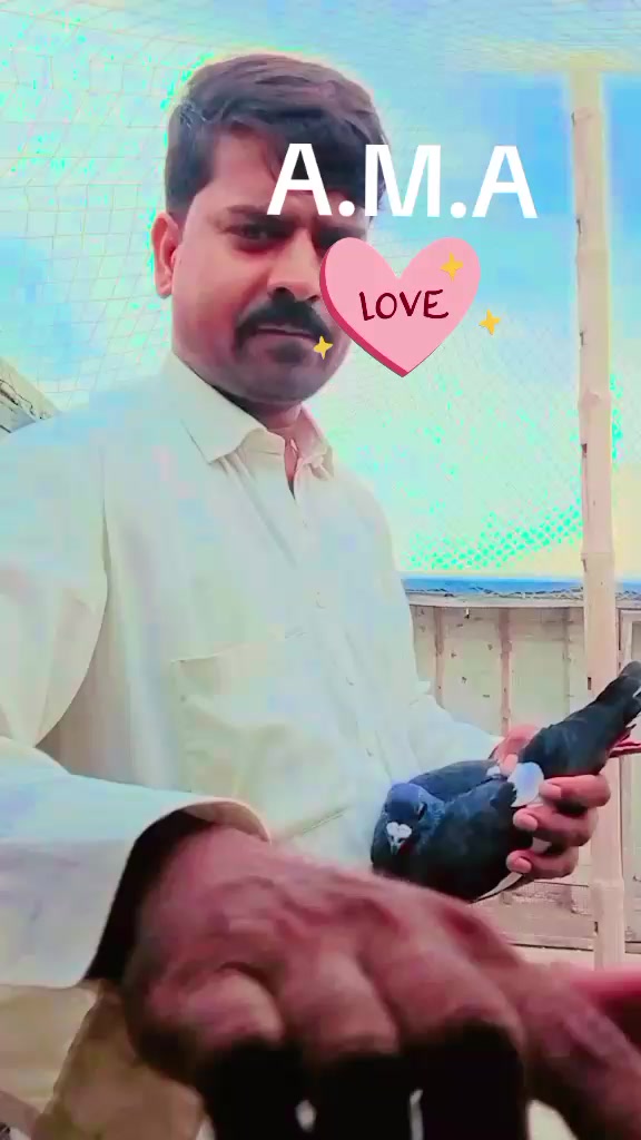@Awais Ahmad