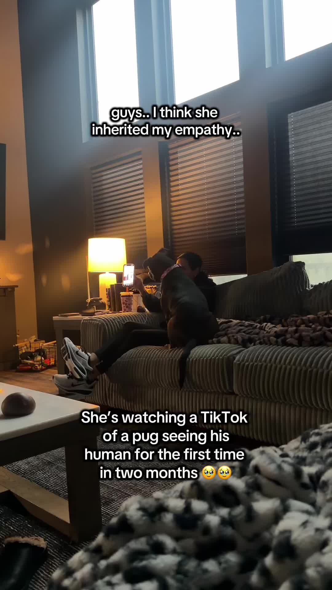 @stayseebeee 🖤