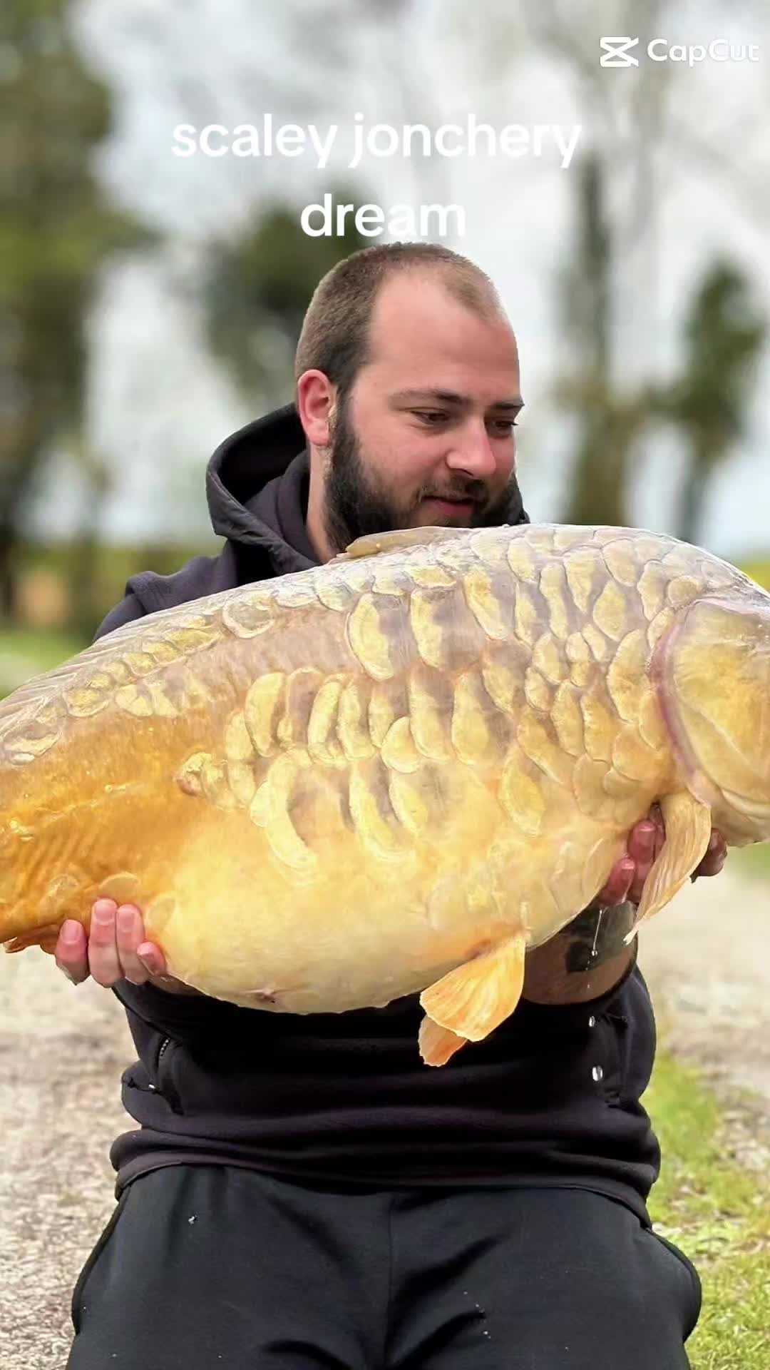 @scaley waters