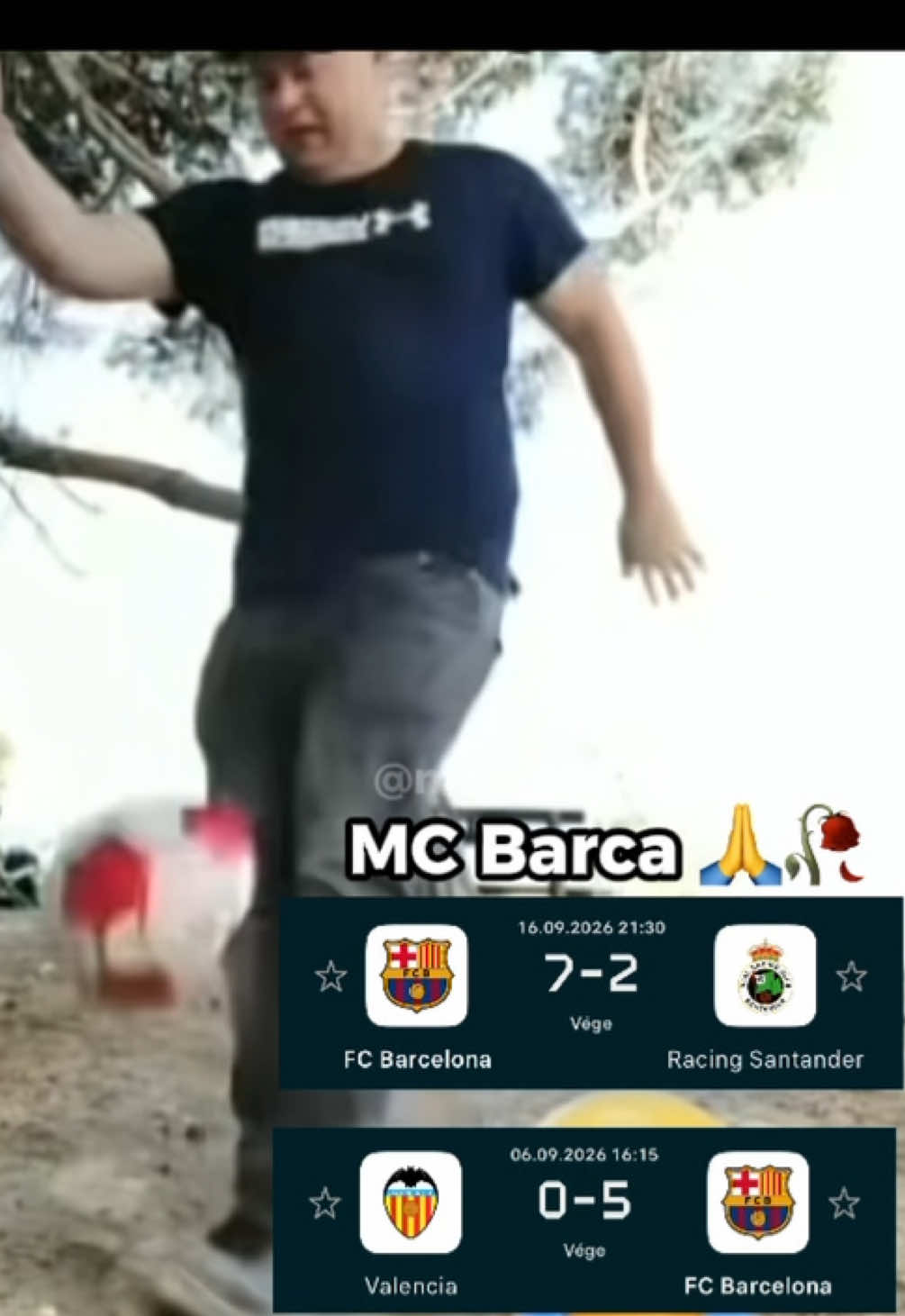 @magyarvicc