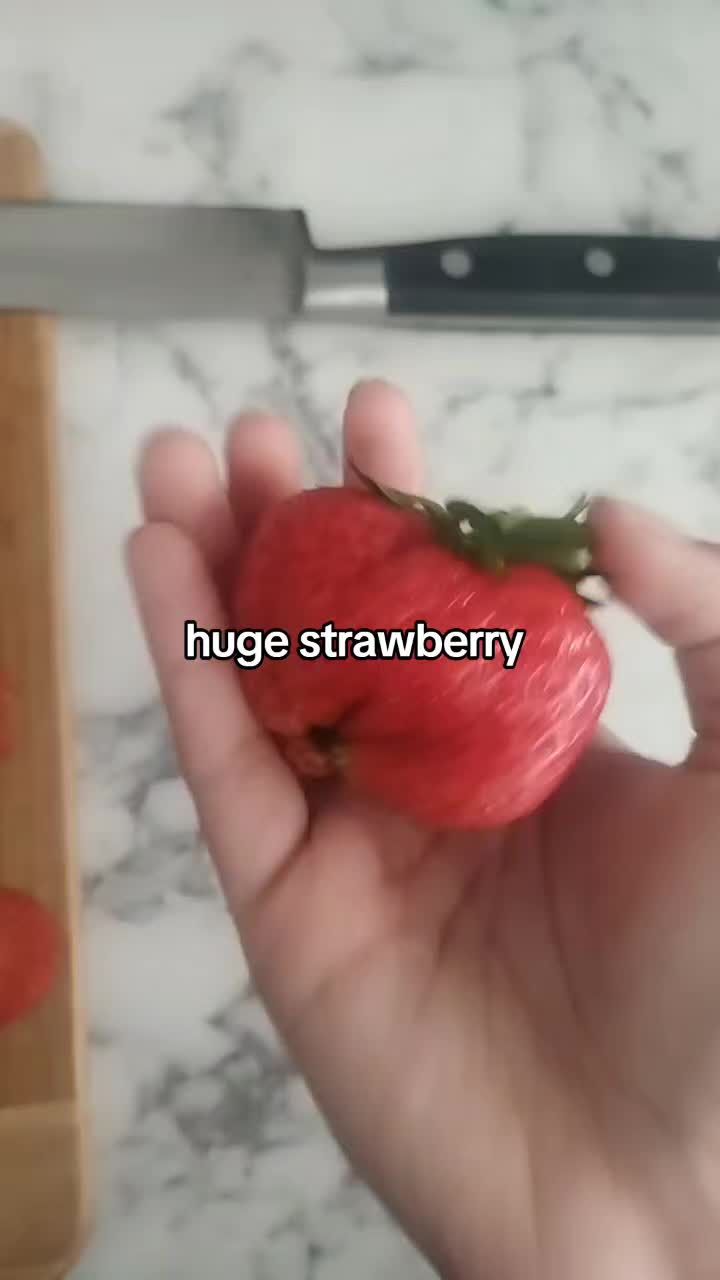 @biggie cheese