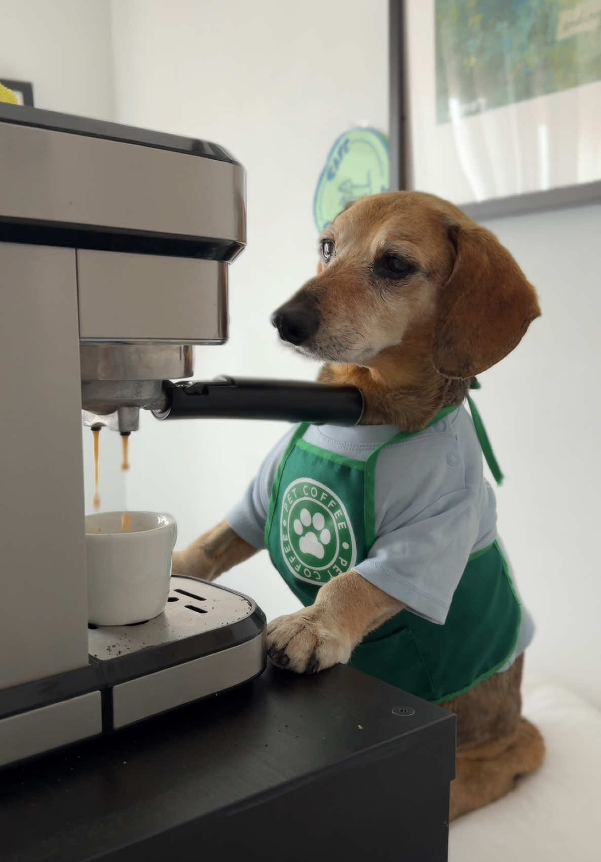 @Lucas The Dog