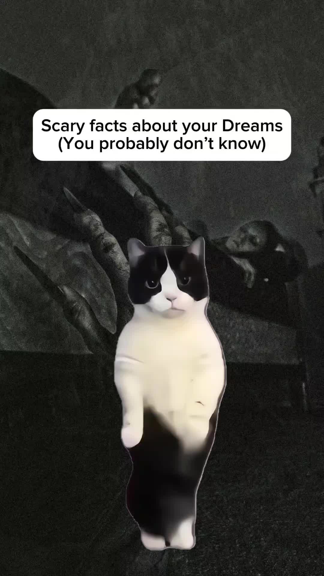 @Histonerd