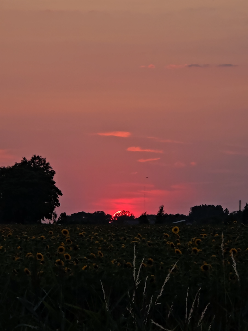 @ŽeMaiTuKė92