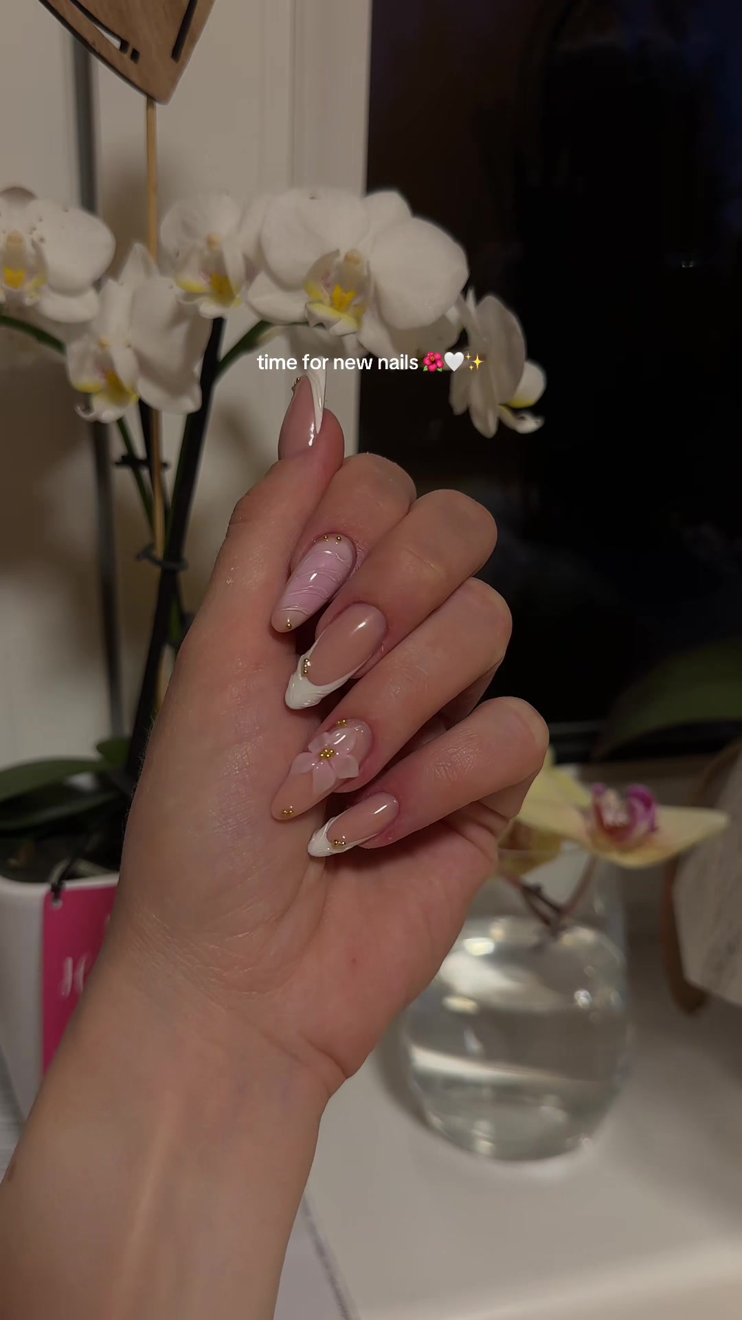 @janine 🧸