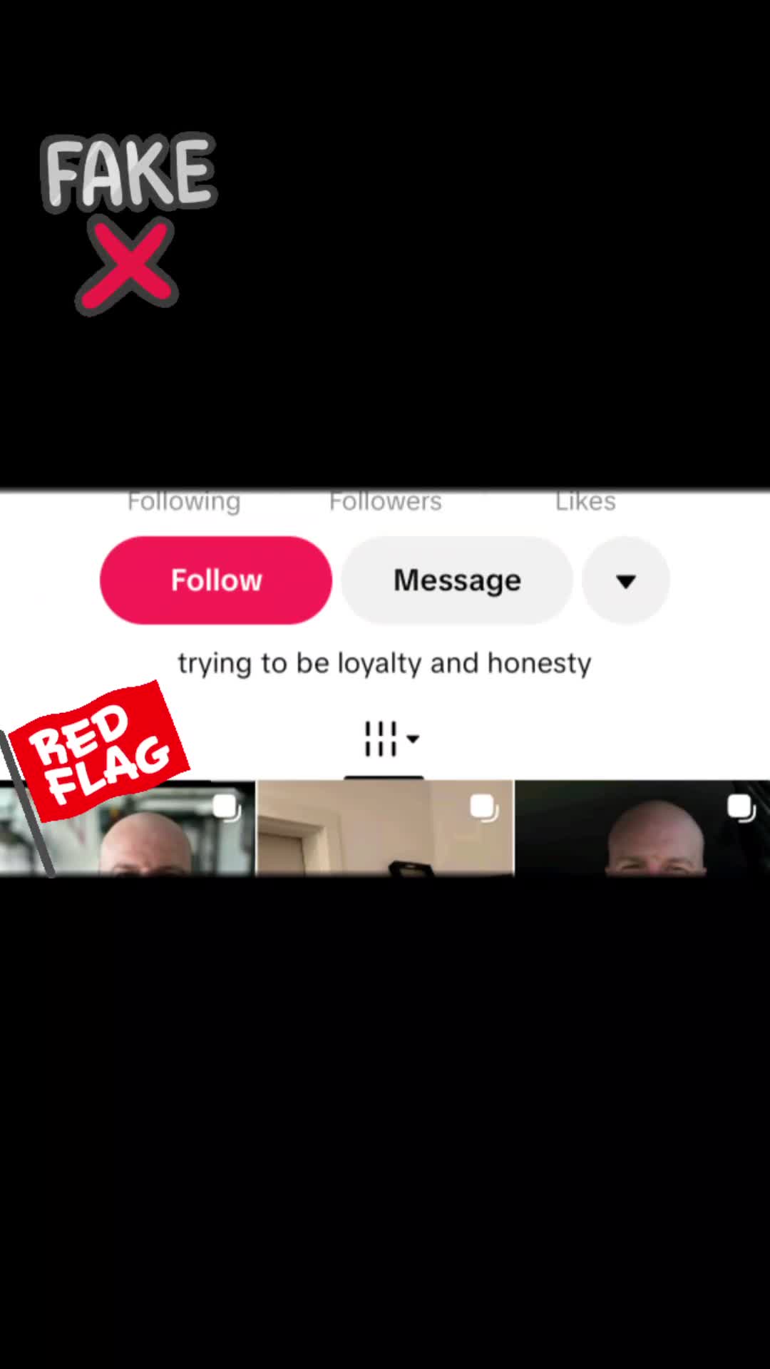 @wolfbait_2