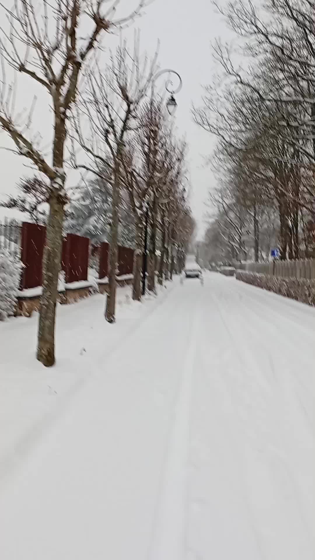 @limfranc