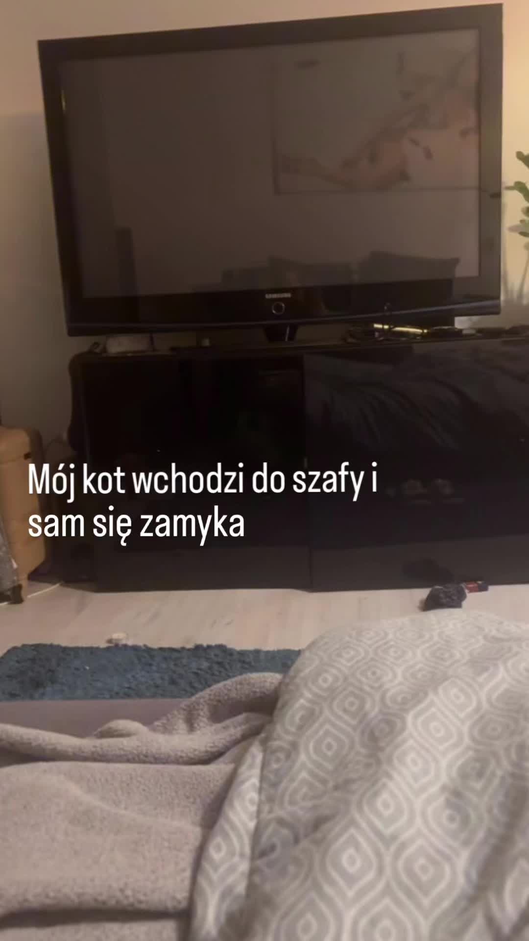 @bambusik