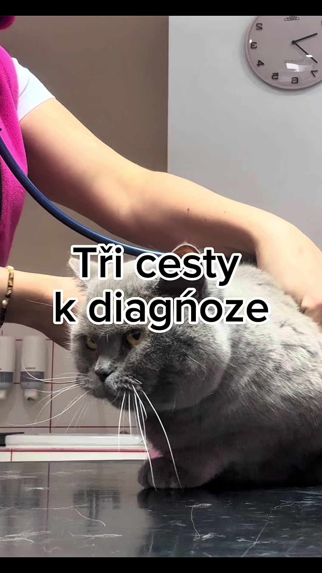 @Náš veterinář