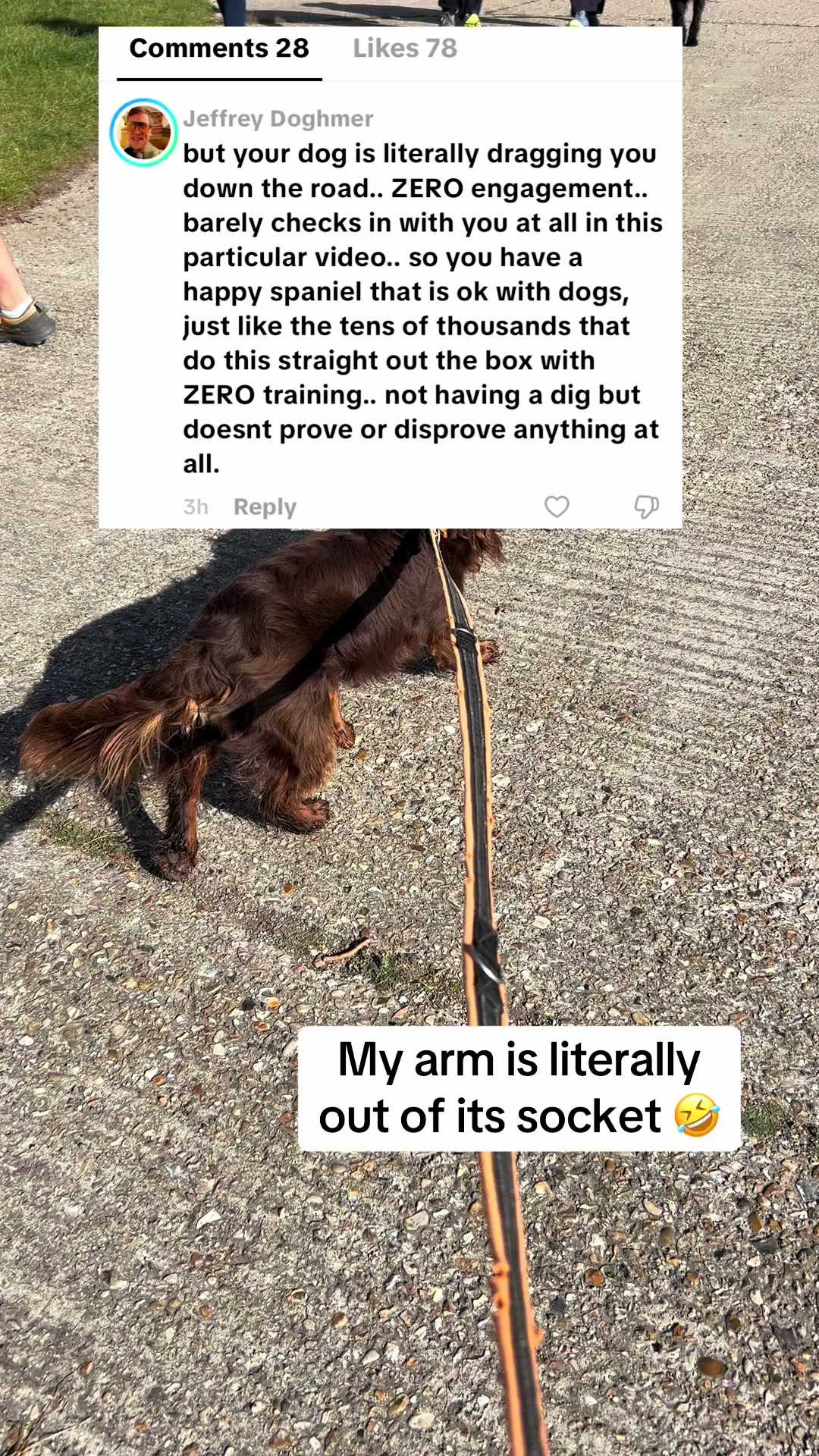 @Pipstar 🐕&zwj;🦺