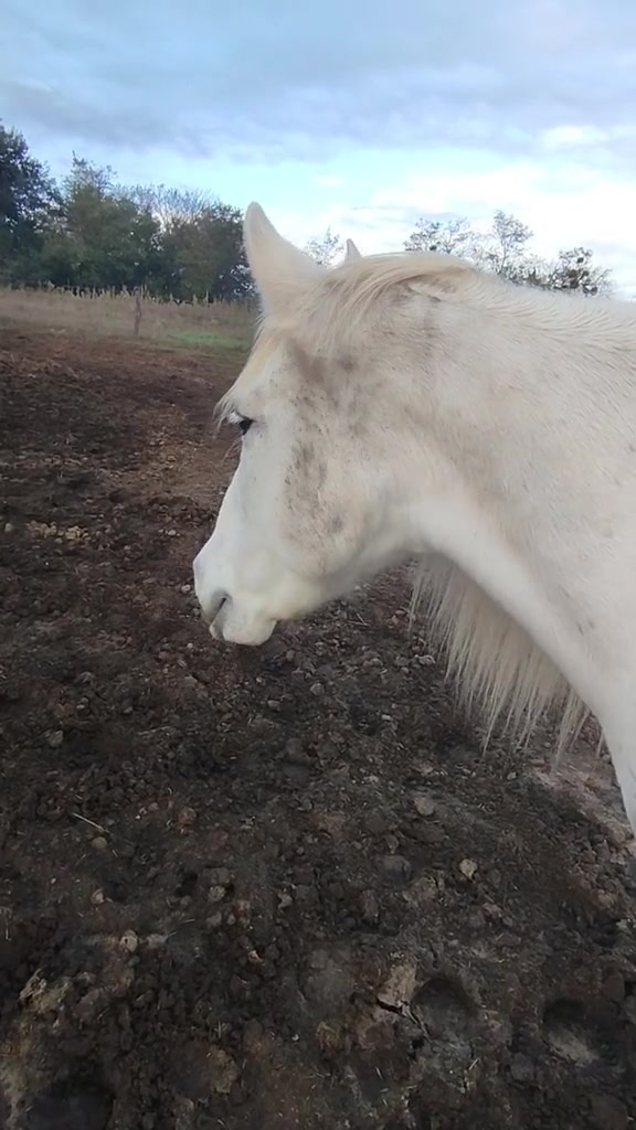 @𝑴𝒂𝒓𝒈𝒂𝒖𝒙&rsquo;۶ৎ