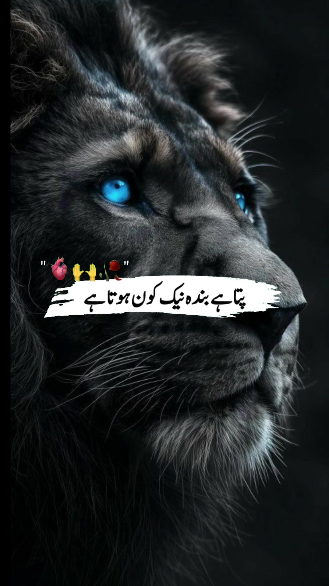 @𝐋𝐄𝐎𝐍𝐈𝐃𝐀𝐒 ⚽️ 🇫🇷 🇵🇰