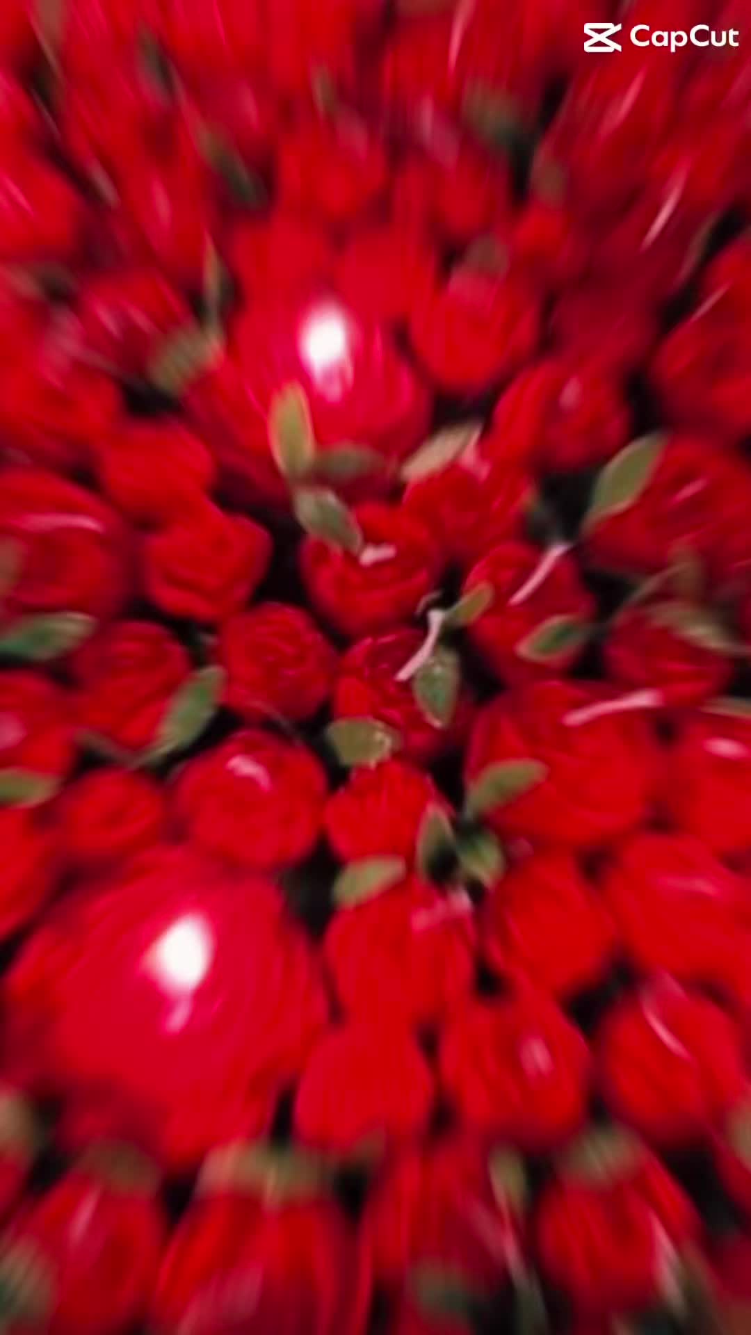 @an_flower_bloom