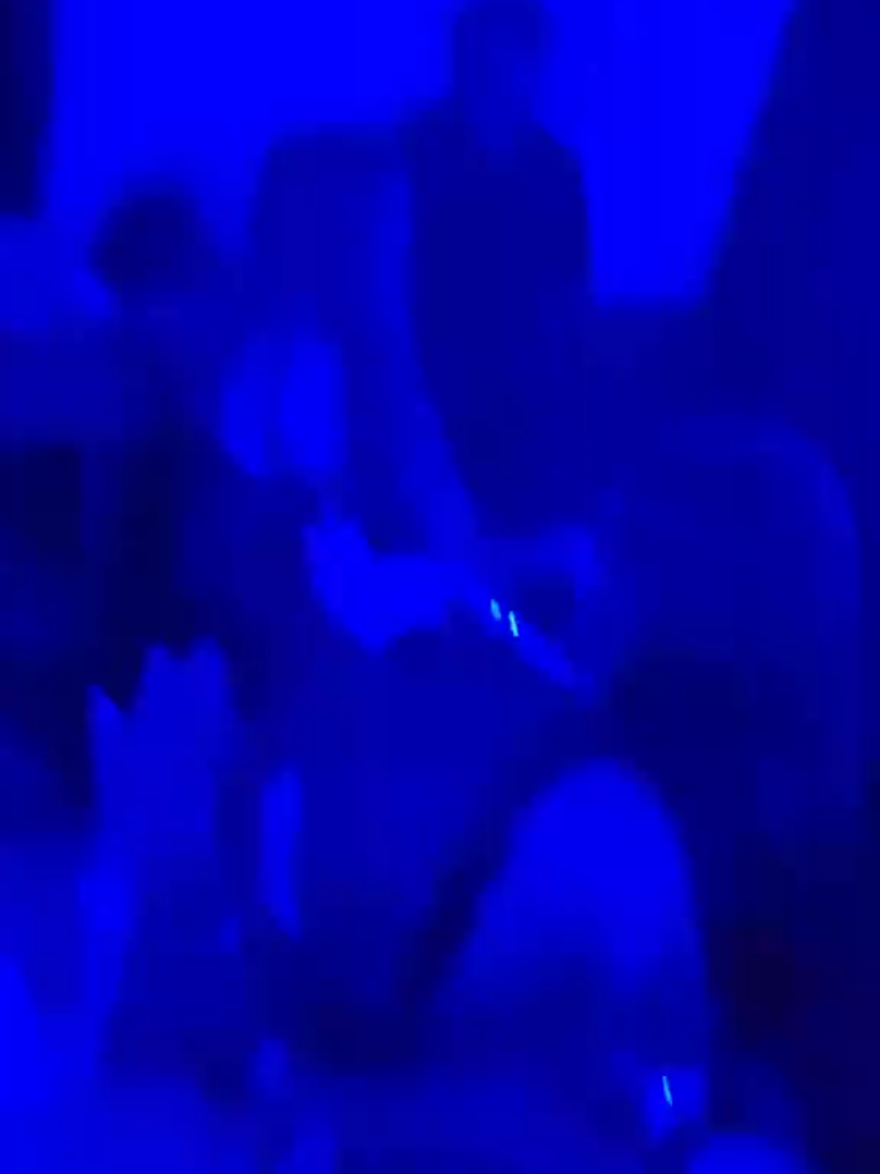 @Randomforestghost