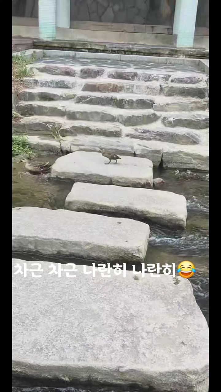 @바다양