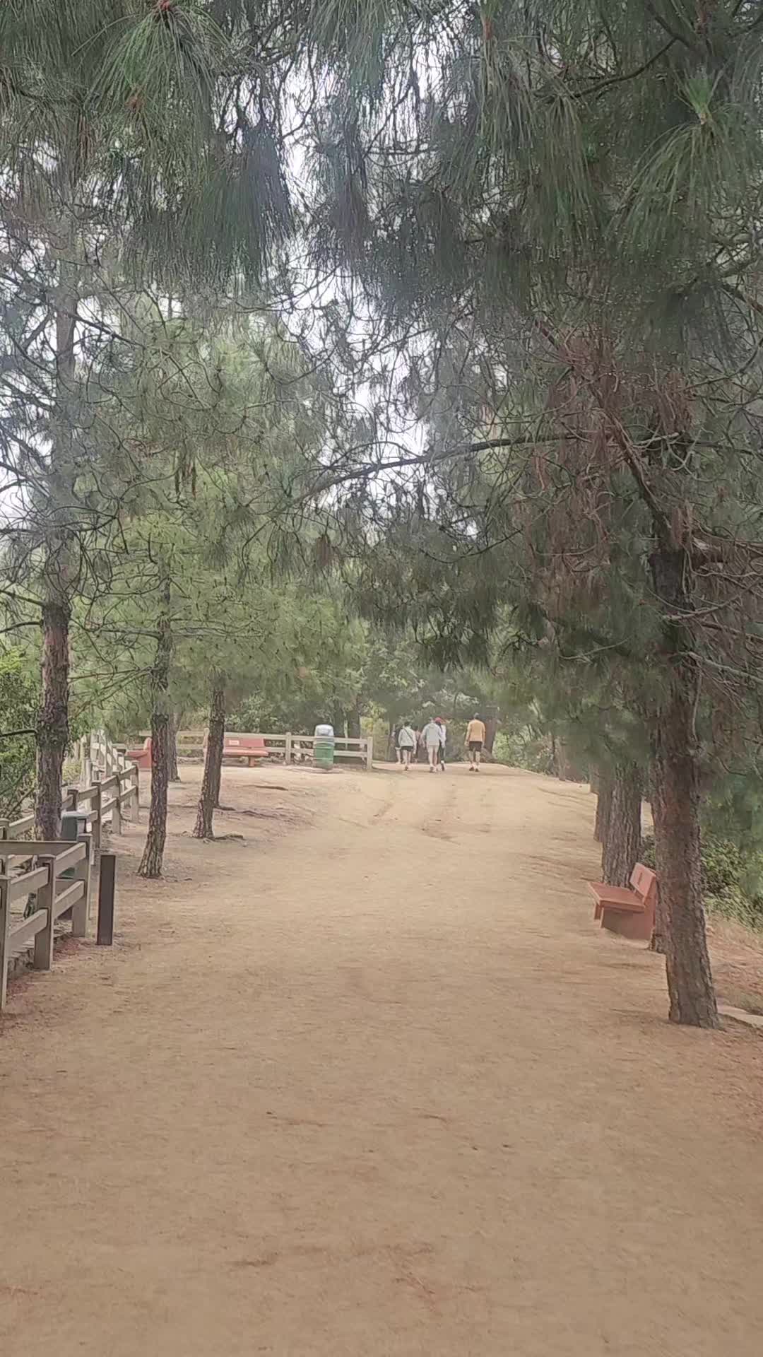 @molina82