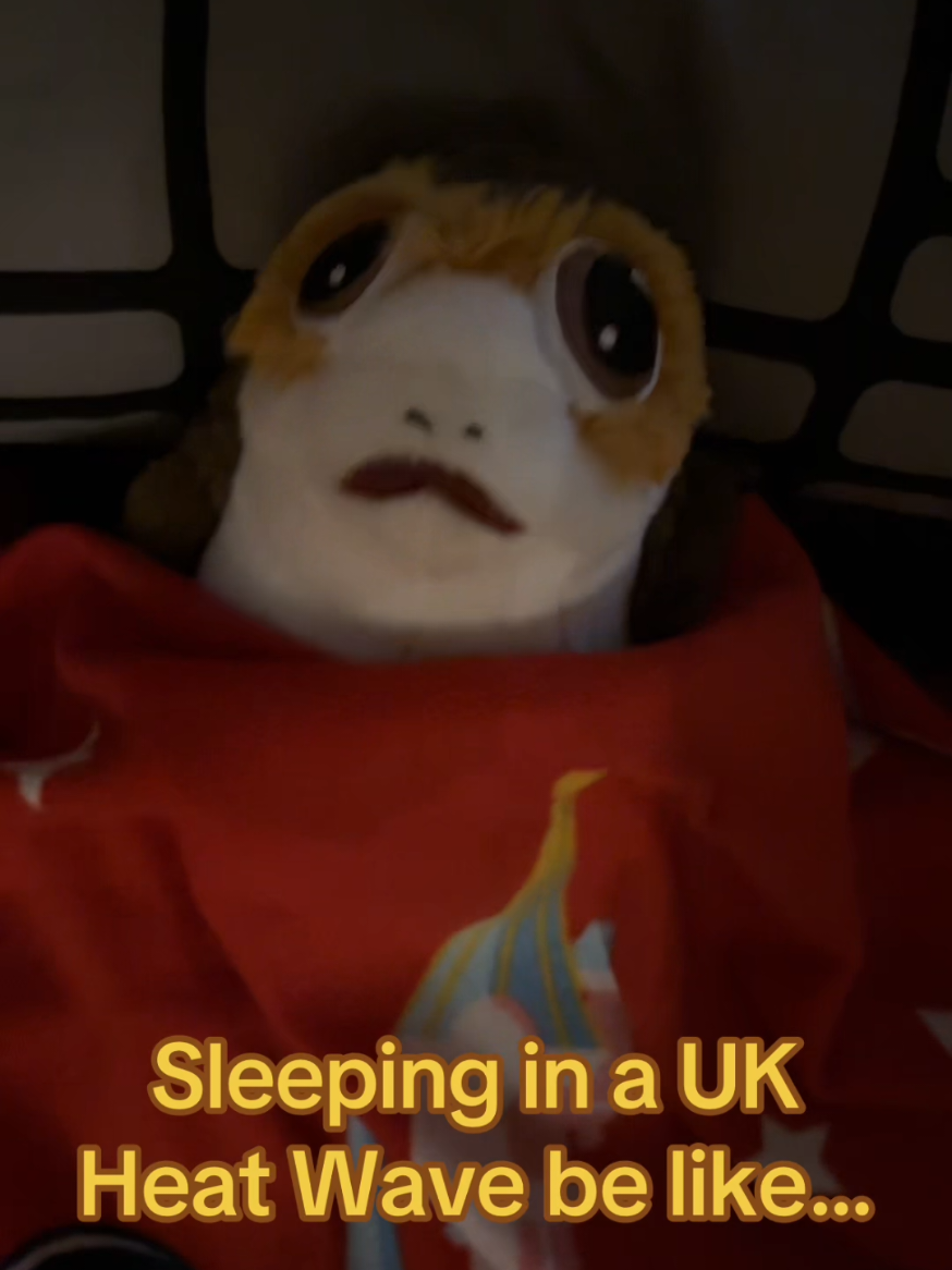 @The Planetary Pilots