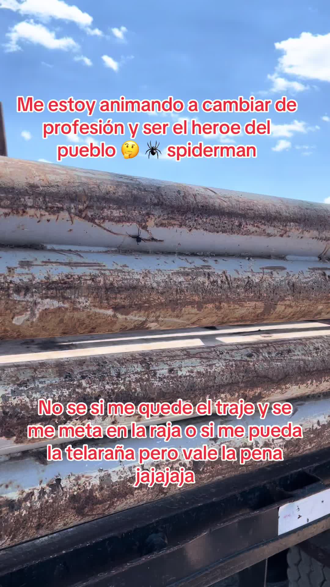 @chrisangel8141