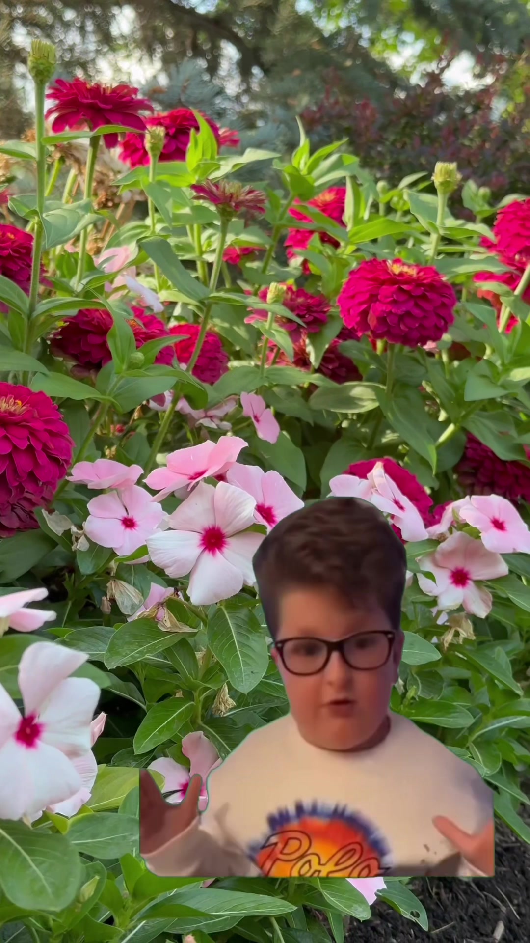 @diggin_the_yard
