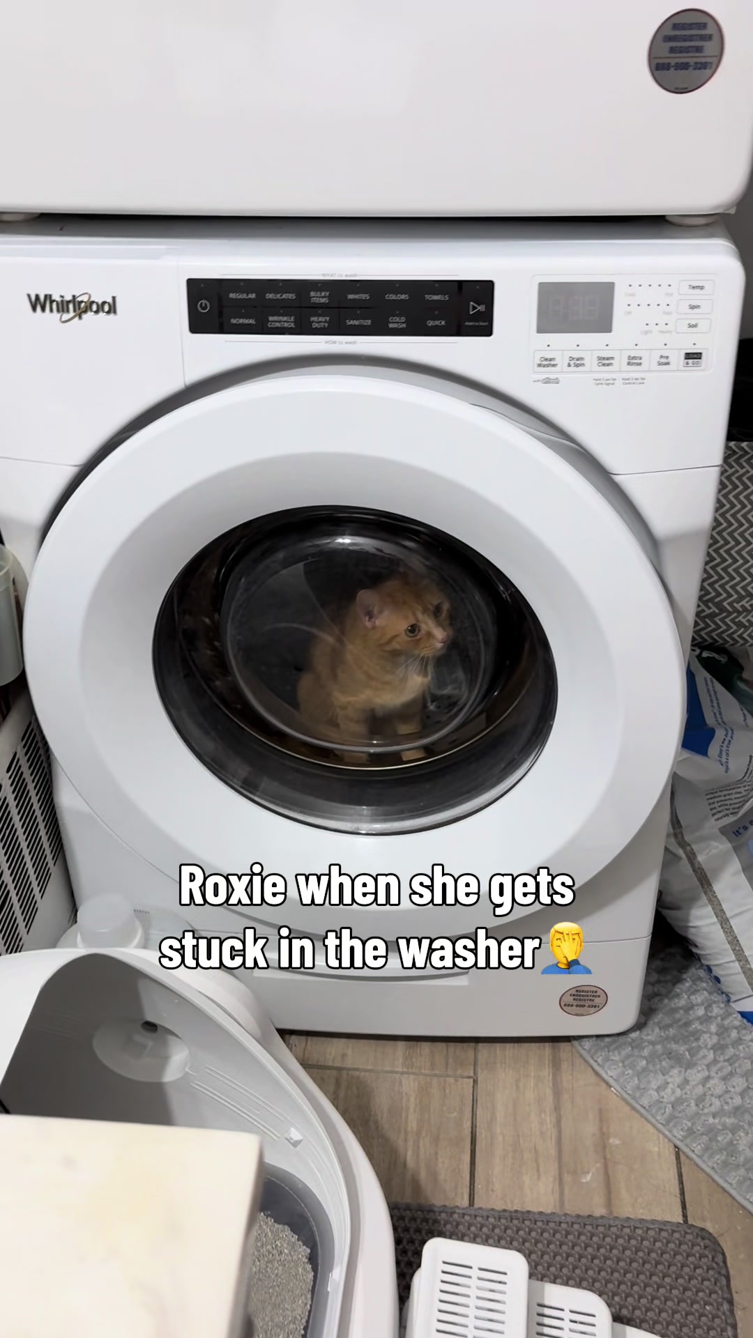@Roxiemiauwmiauw