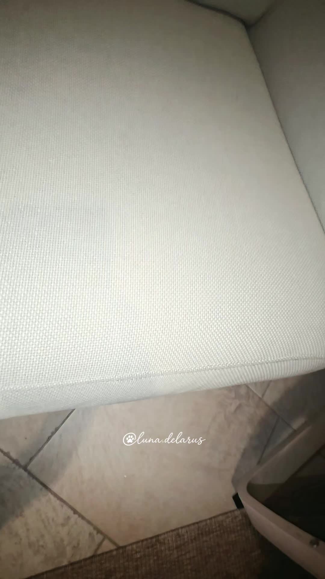 @Luna