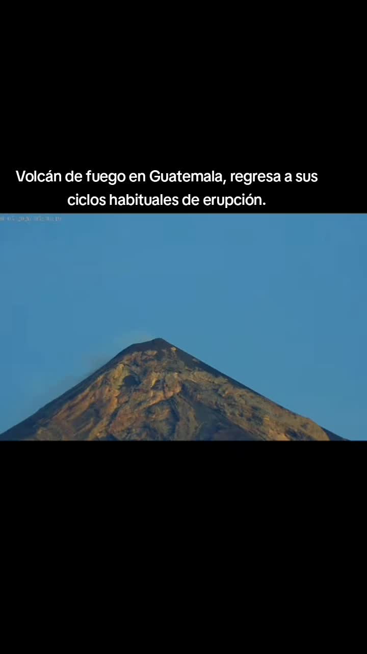 @Leo 🦁