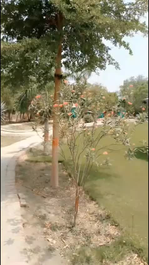 @Sonia shehzadi