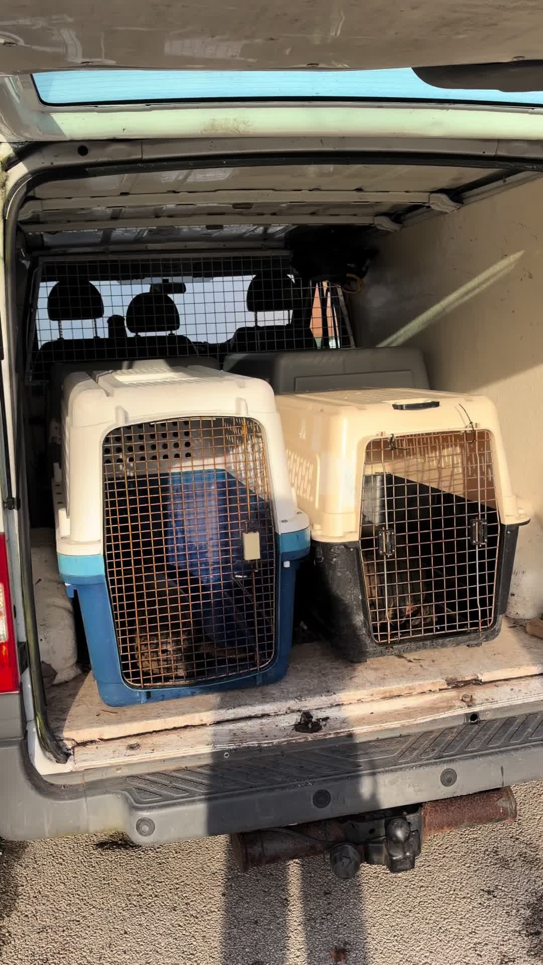 @StapeleyWildlifeRehab