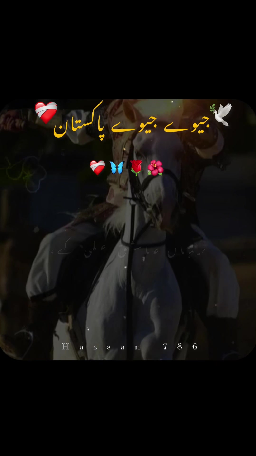 @Hassan 786
