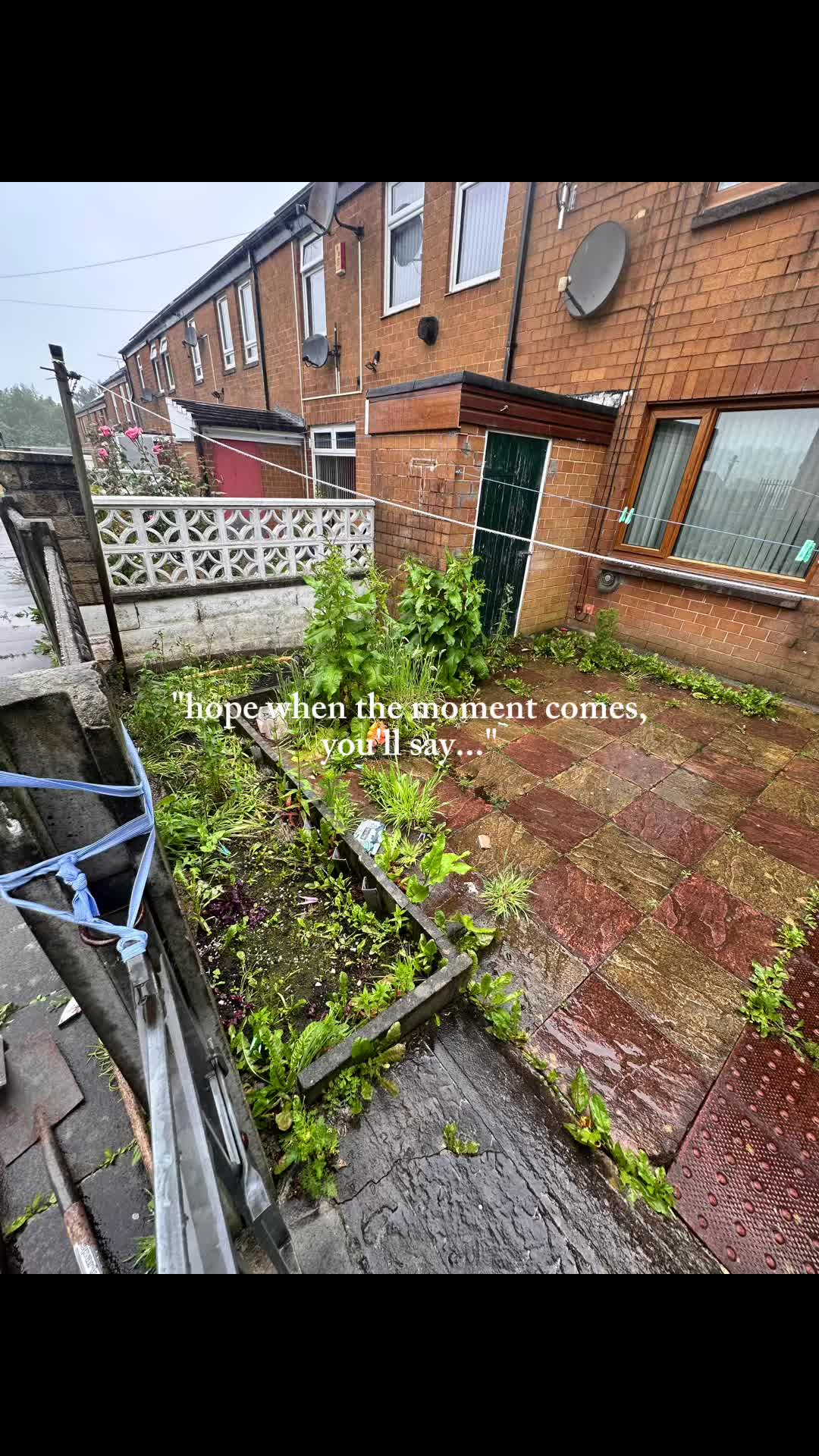 @tj maintence/tj removals