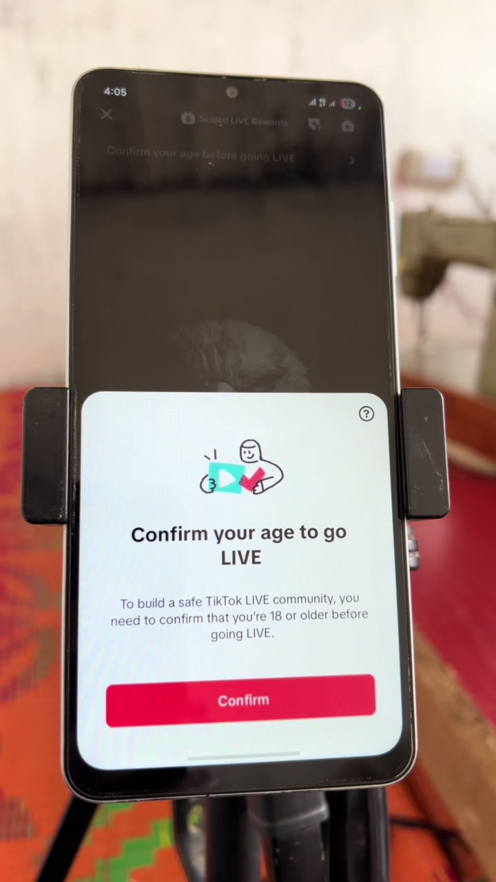 @tiktok_br_live