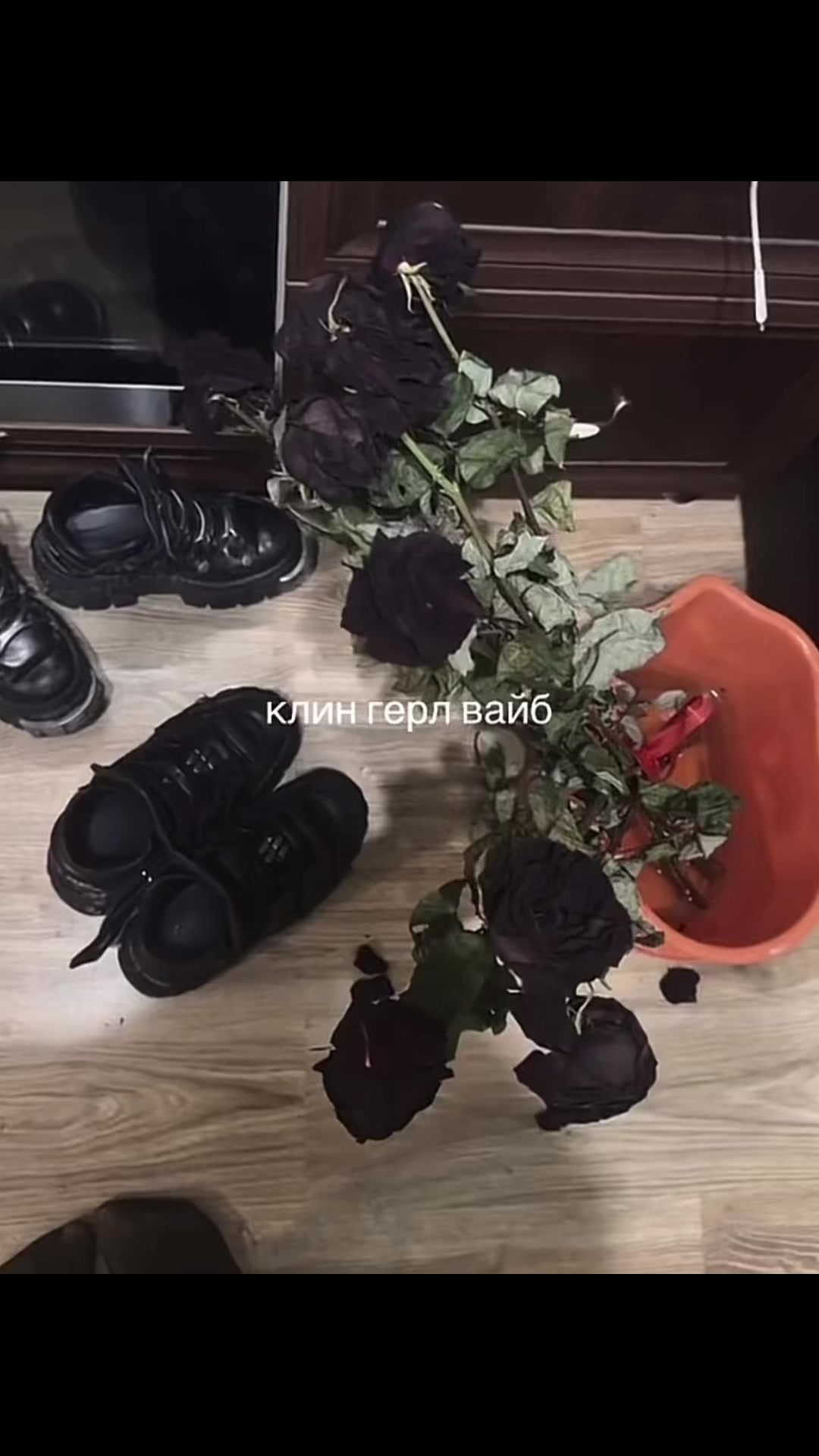 @dozamp3