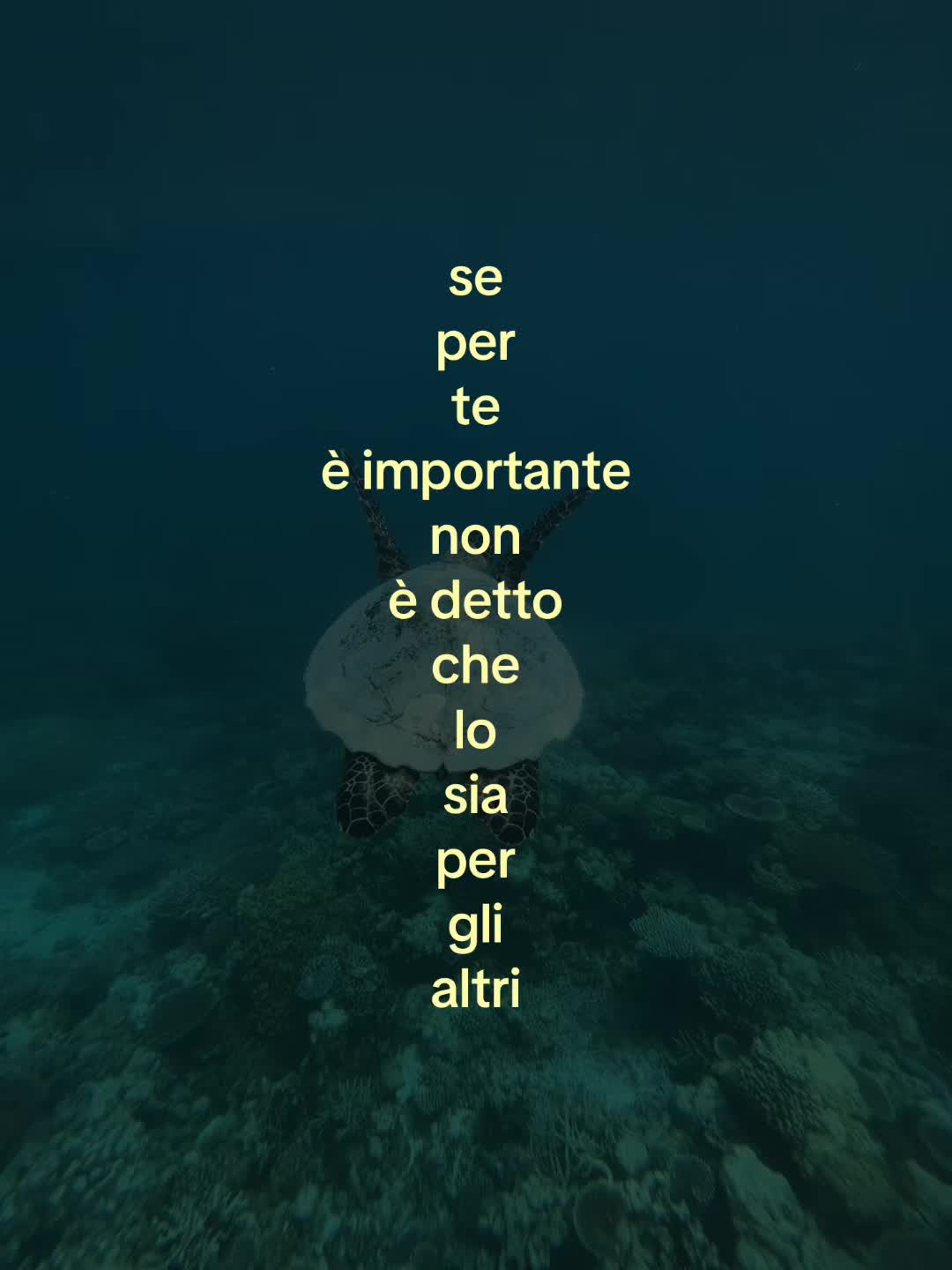 @x2eva