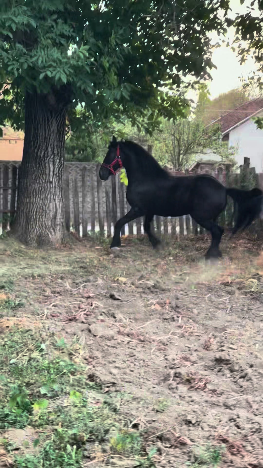 @Andreea Alexandru❤️💋😘