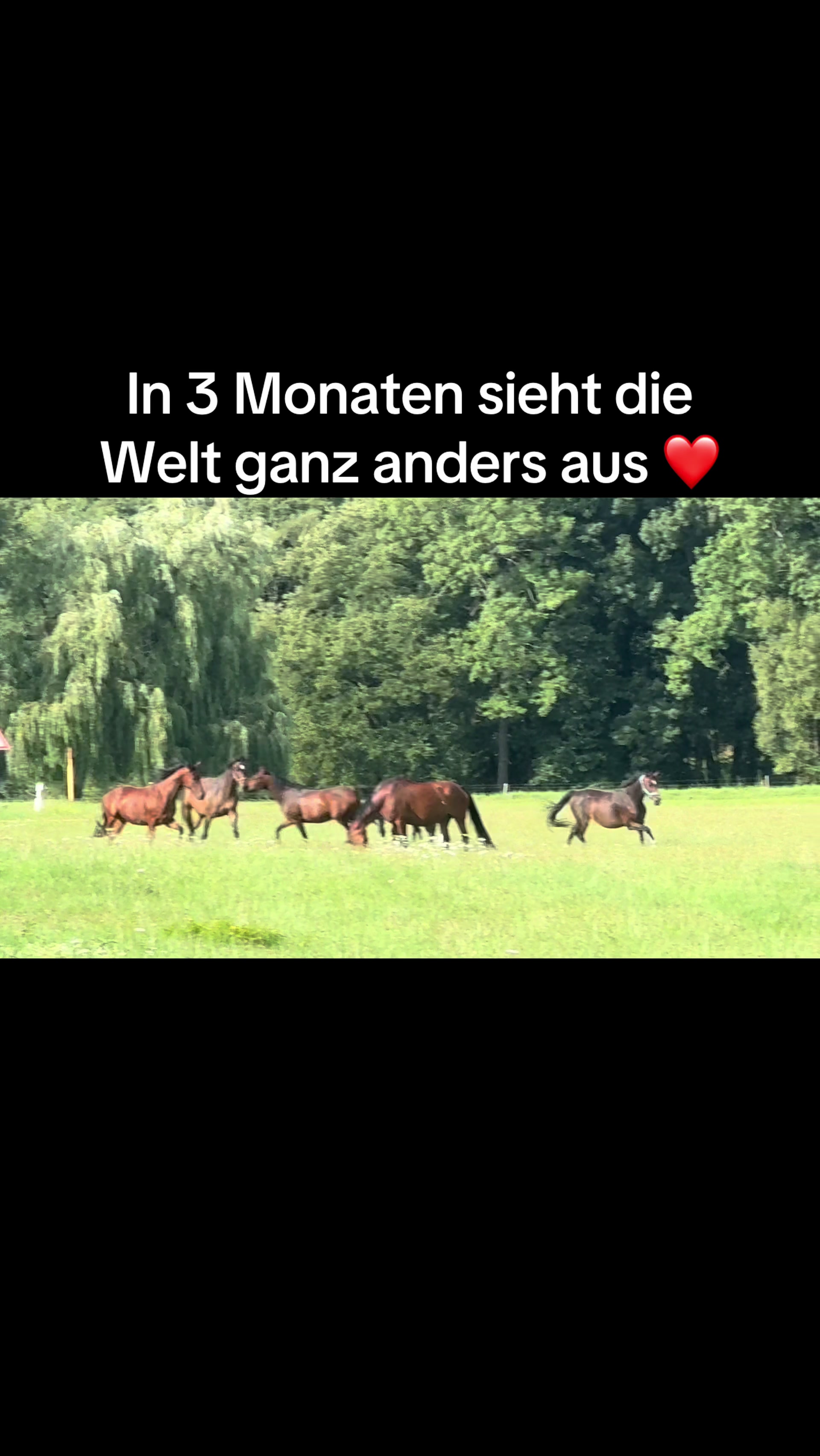 @Reitstall Freiberg