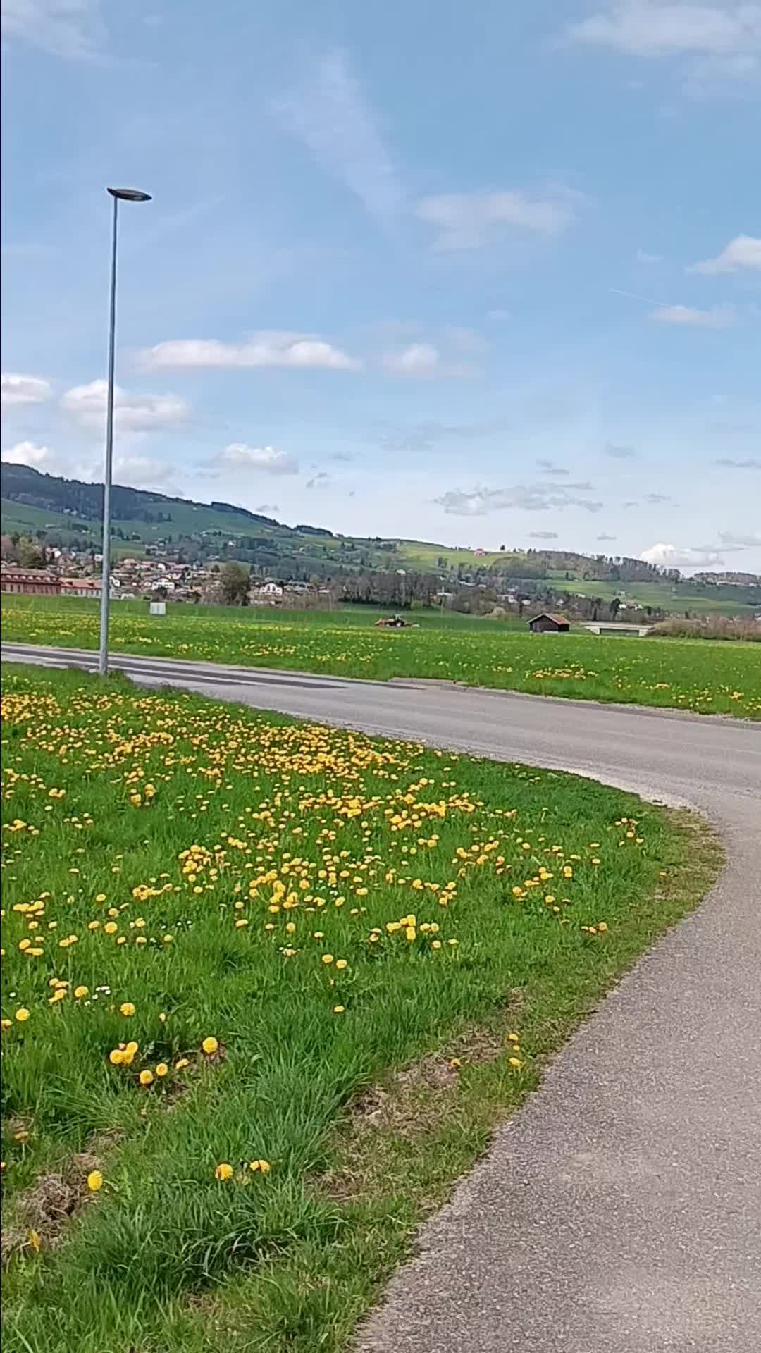 @Dina
