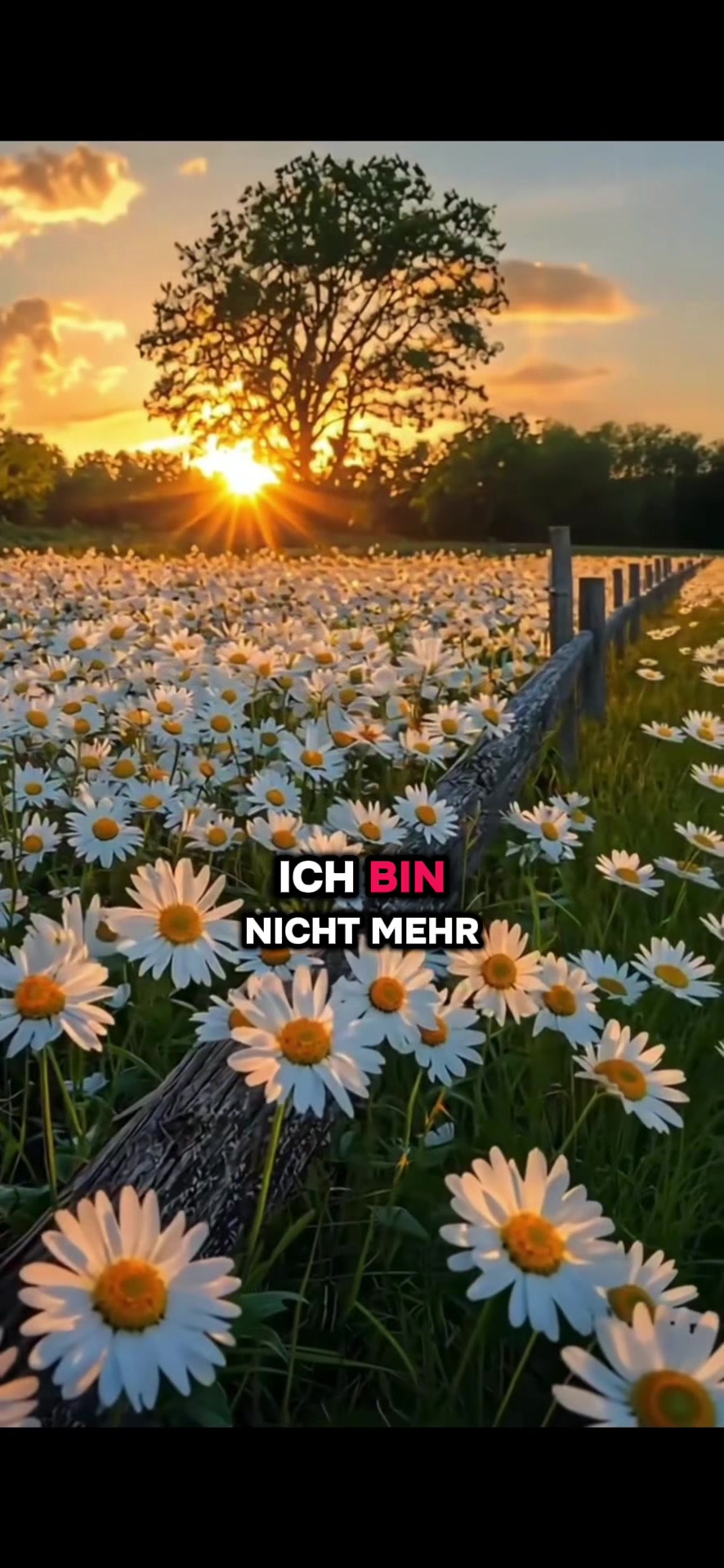 @KopfHochGedanken✨💭