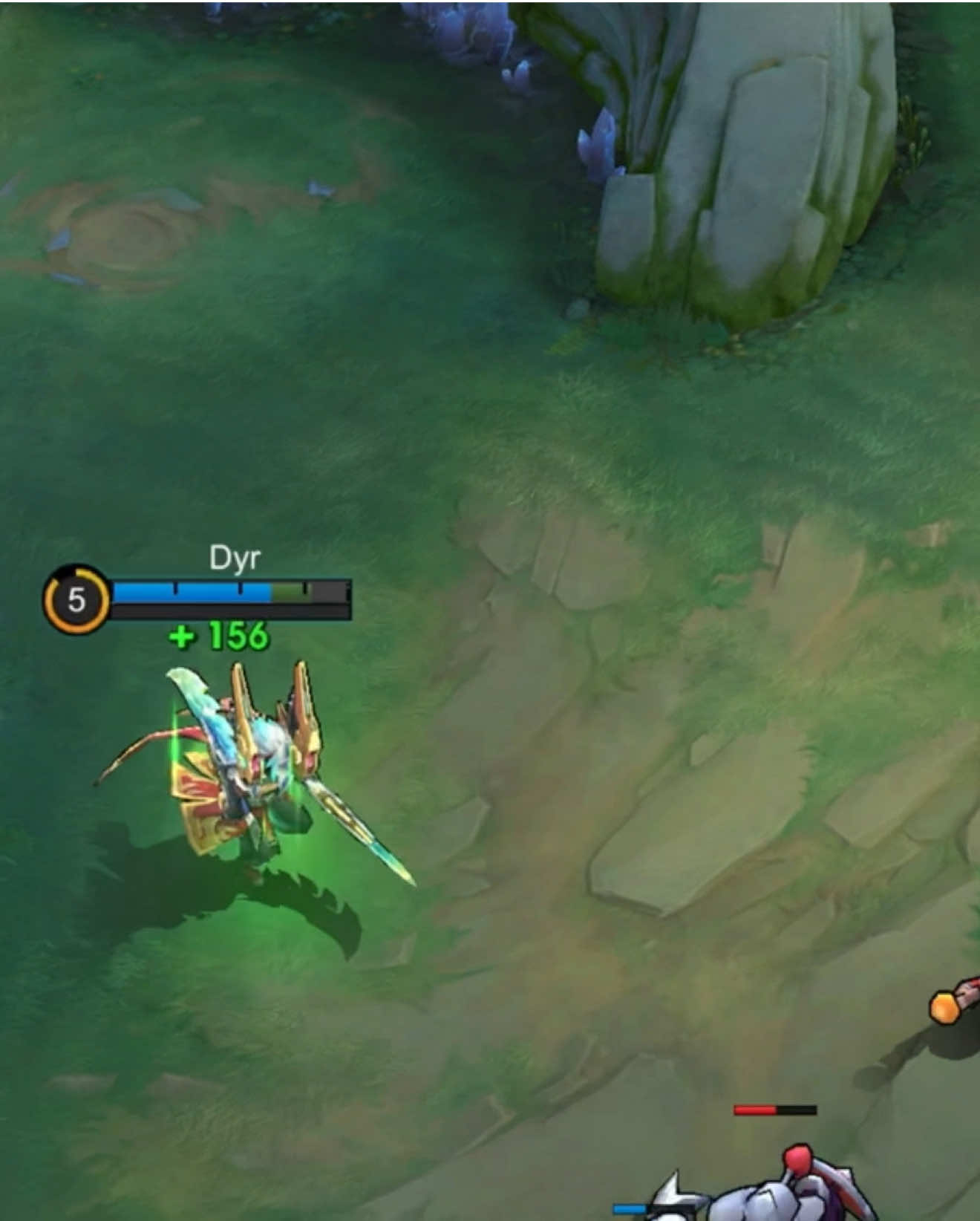 @Dyr