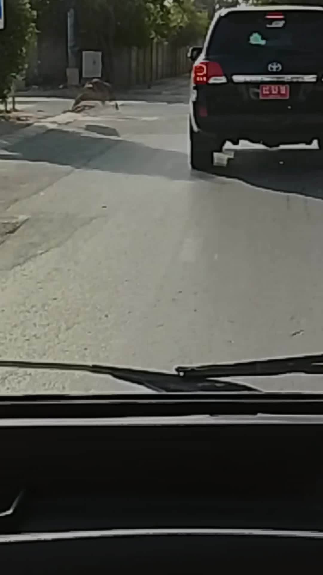 @tiktok