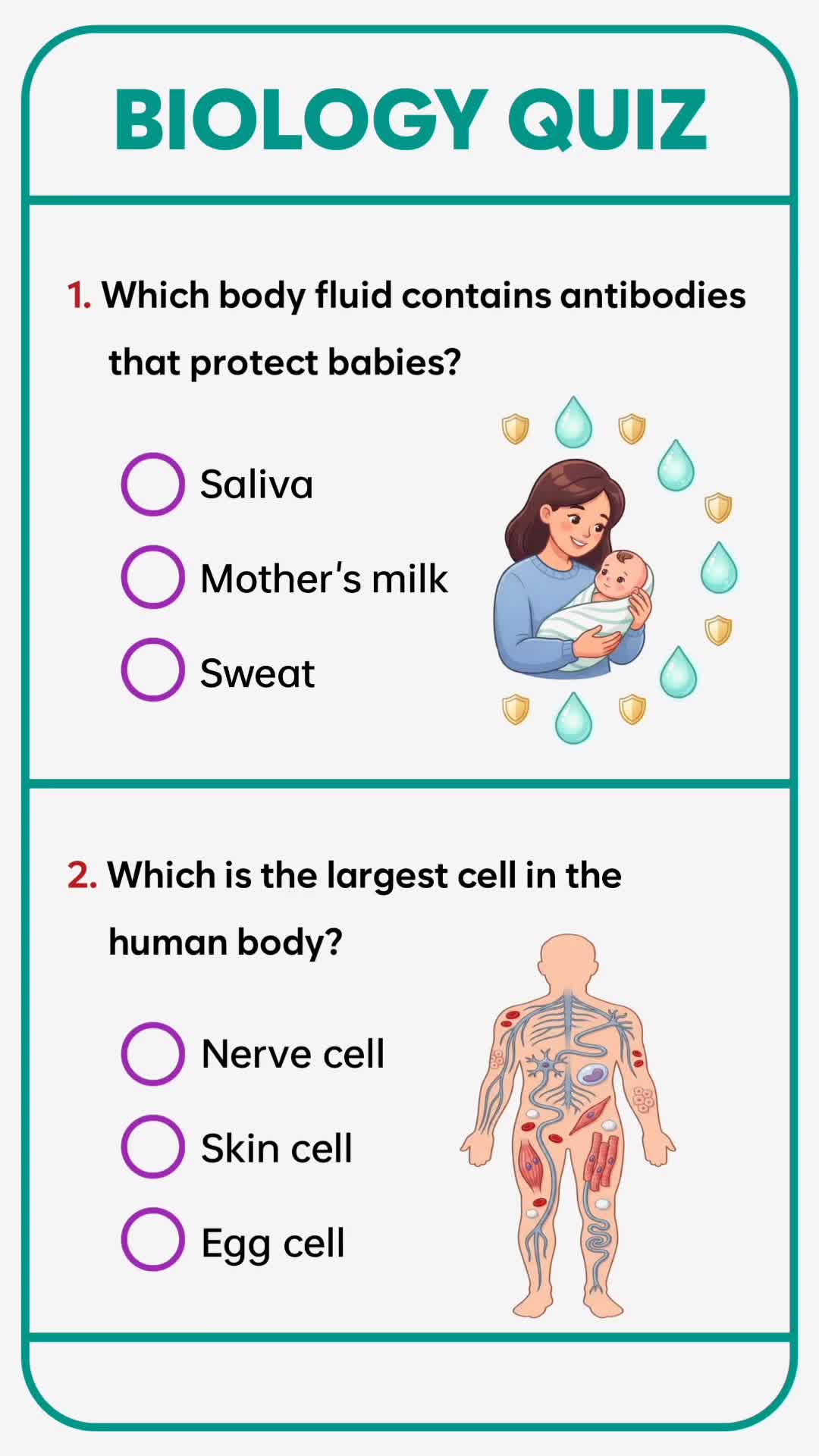 @QUIZ