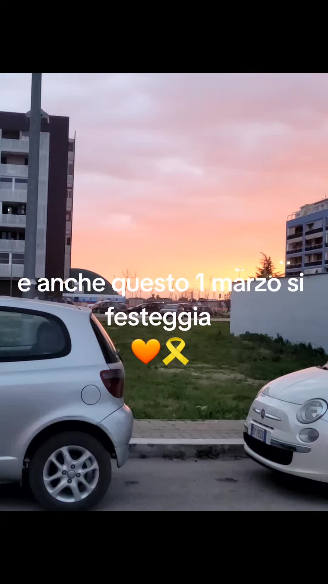 @account.sfogo8